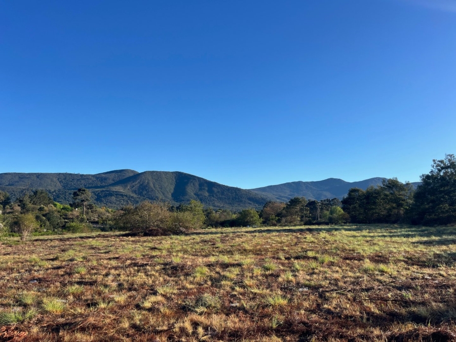 Commercial Property for Sale in Plettenberg Bay Rural Western Cape